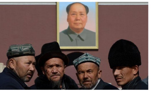 uighur